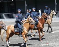 3377体育平台官网-马克里尔的月光酒任务怎么接